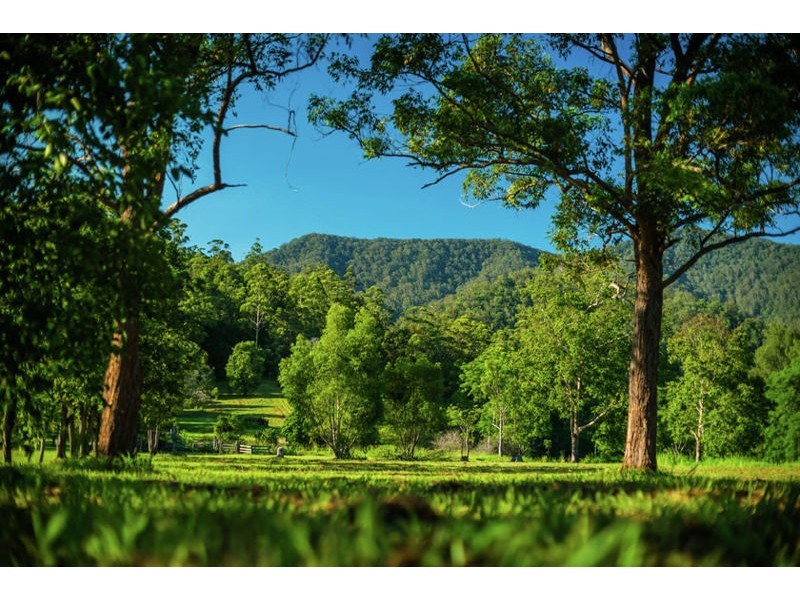 2129 Darkwood Road, Bellingen NSW 2454