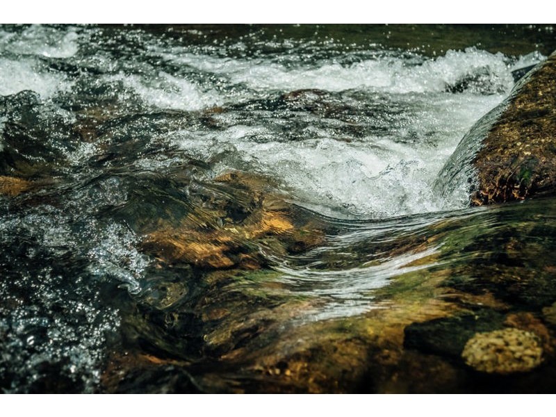 2129 Darkwood Road, Bellingen NSW 2454