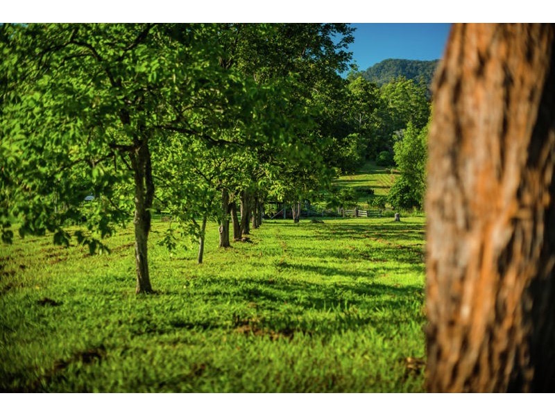2129 Darkwood Road, Bellingen NSW 2454