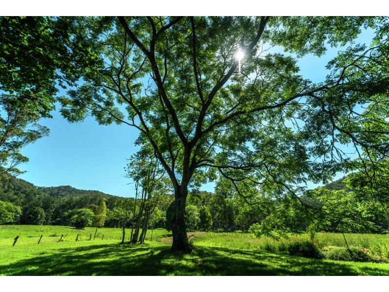 2129 Darkwood Road, Bellingen NSW 2454