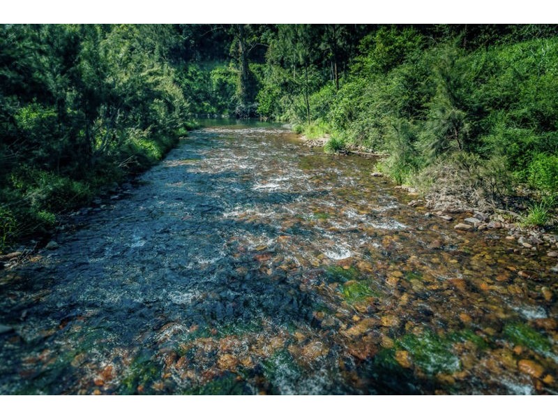 2129 Darkwood Road, Bellingen NSW 2454