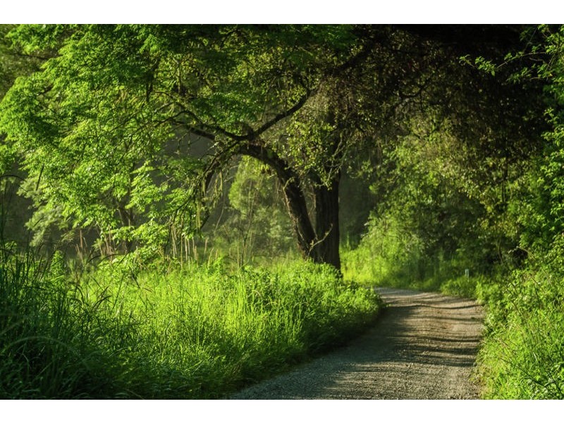 2129 Darkwood Road, Bellingen NSW 2454