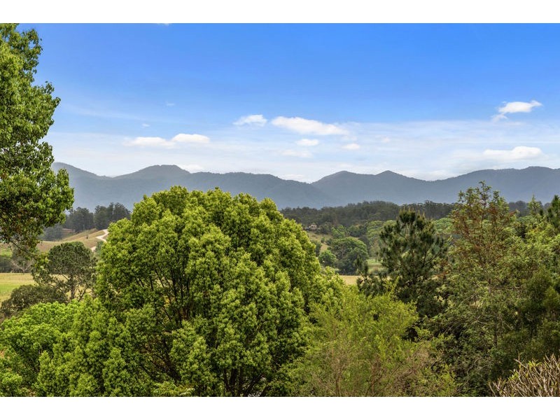 48 Robert Street, Bellingen NSW 2454