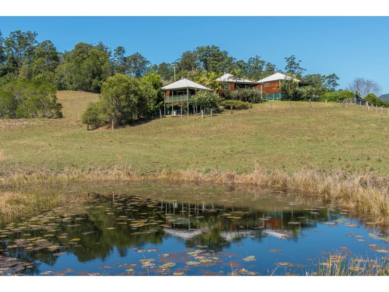 1399 Bellingen Road, Bellingen NSW 2454