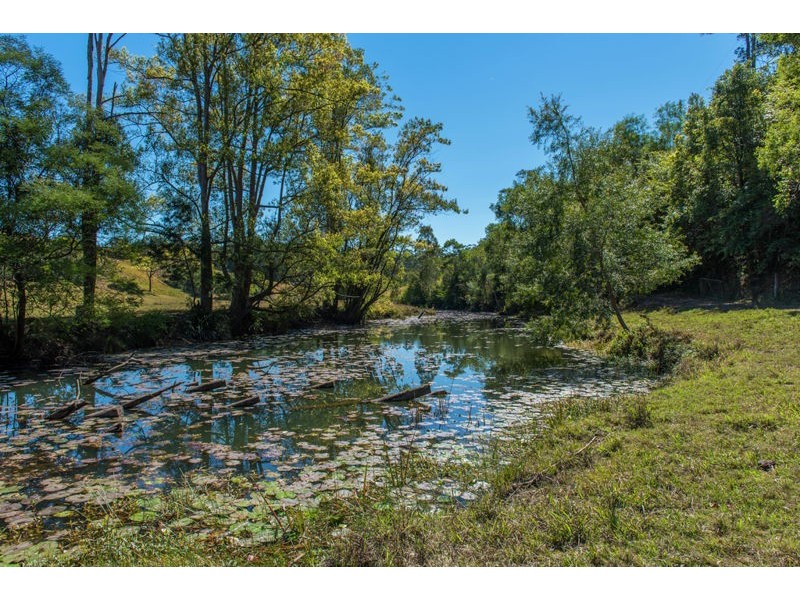 1399 Bellingen Road, Bellingen NSW 2454