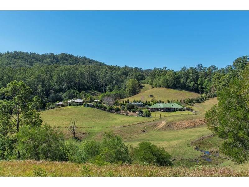 1399 Bellingen Road, Bellingen NSW 2454