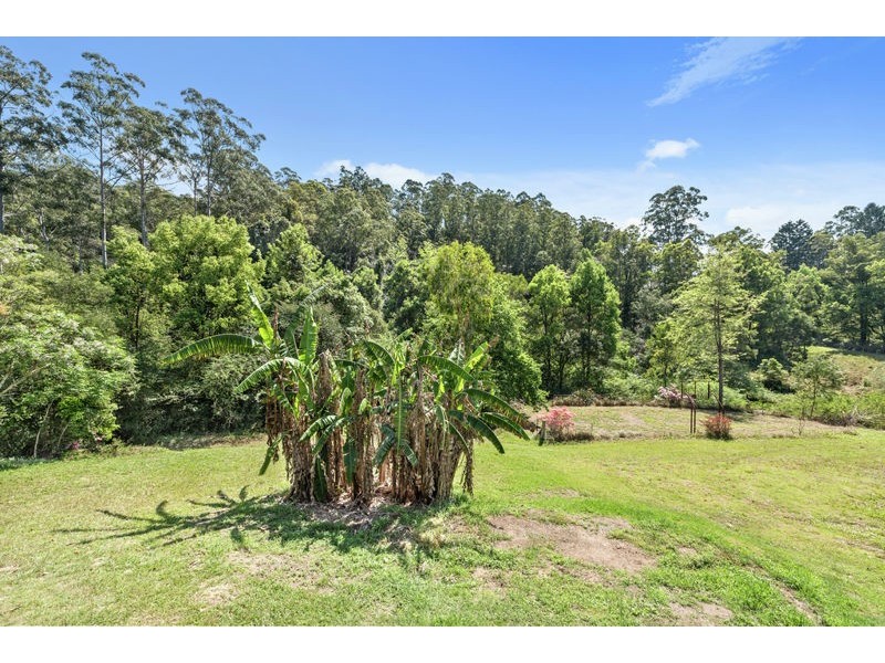 34 Scotchman Road, Bellingen NSW 2454