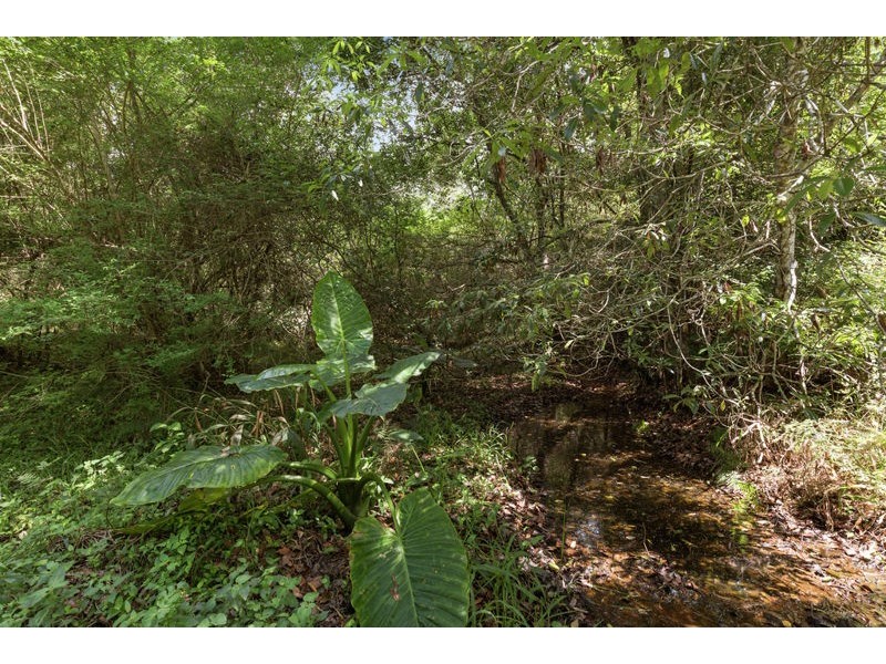 34 Scotchman Road, Bellingen NSW 2454