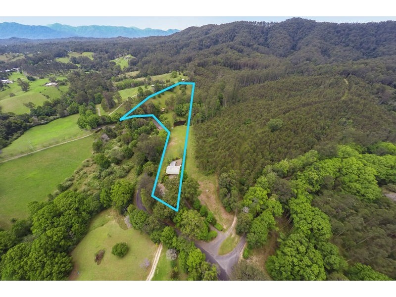 737 Bowraville Road, Bellingen NSW 2454