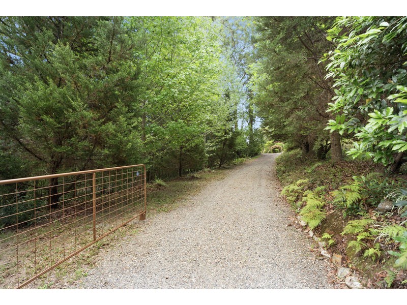 737 Bowraville Road, Bellingen NSW 2454