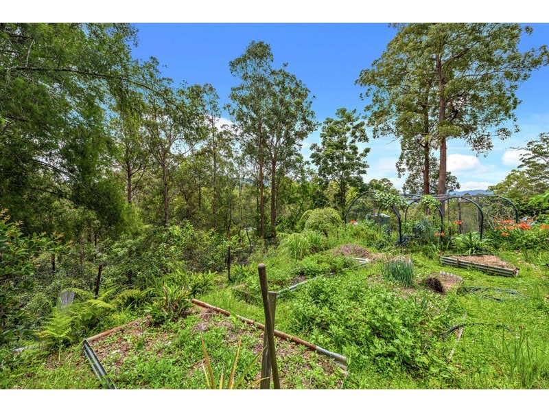 315 Boggy Creek Road, Bellingen NSW 2454