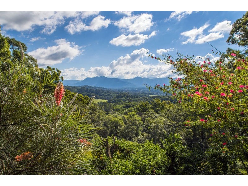 22 Bennett Road, Bellingen NSW 2454