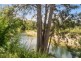 1724 Waterfall Way, Bellingen NSW 2454
