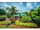 18 Vine Street, Dorrigo NSW 2453
