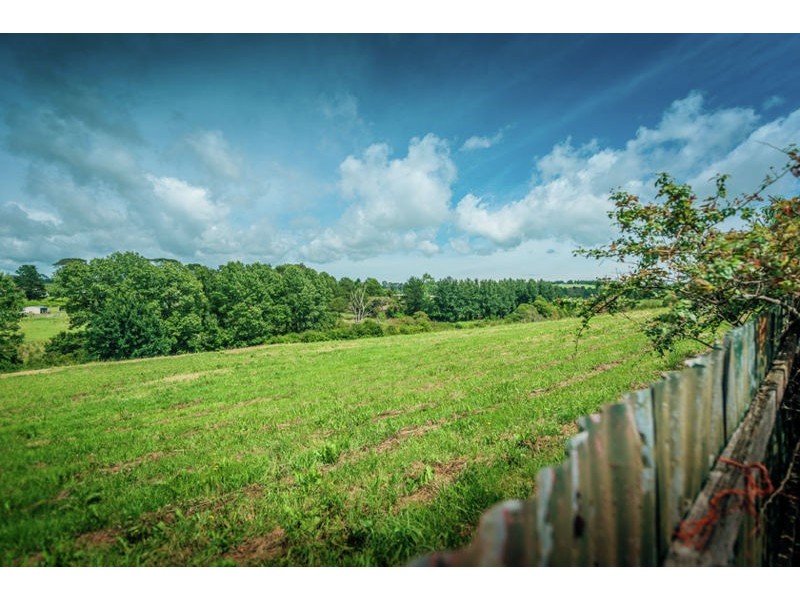 18 Vine Street, Dorrigo NSW 2453