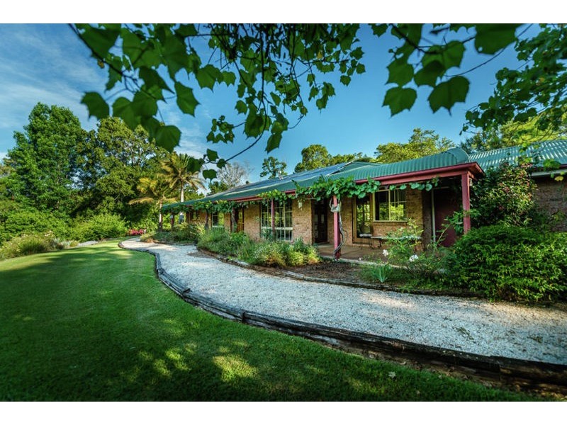 241 Hydes Creek Road, Bellingen NSW 2454