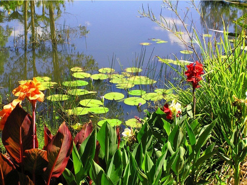 241 Hydes Creek Road, Bellingen NSW 2454