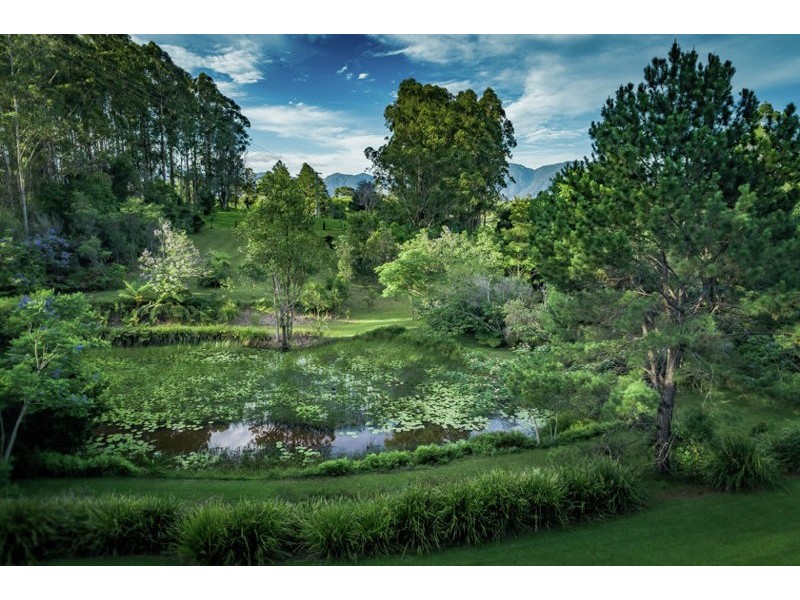 241 Hydes Creek Road, Bellingen NSW 2454