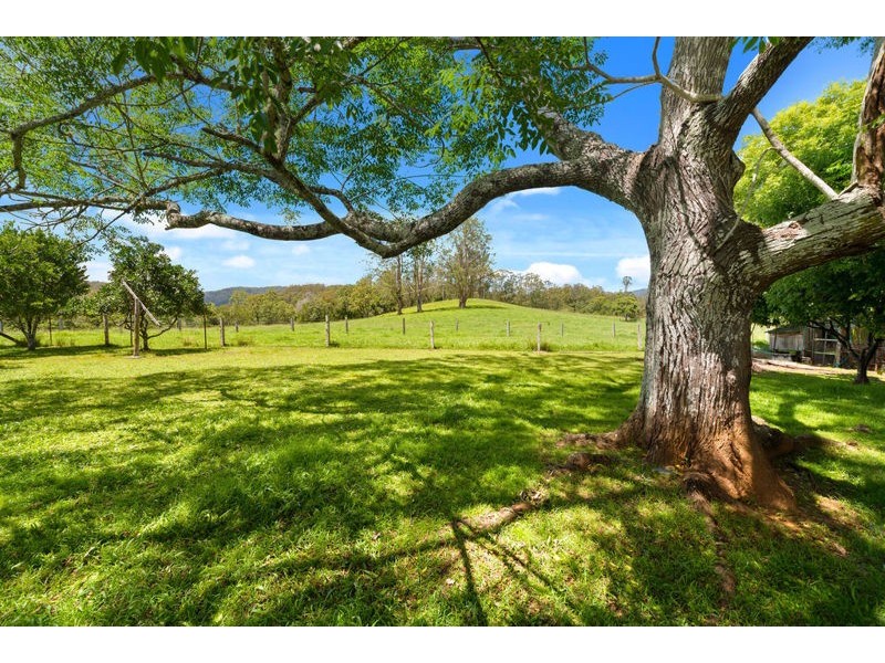 1471 Darkwood Road, Bellingen NSW 2454