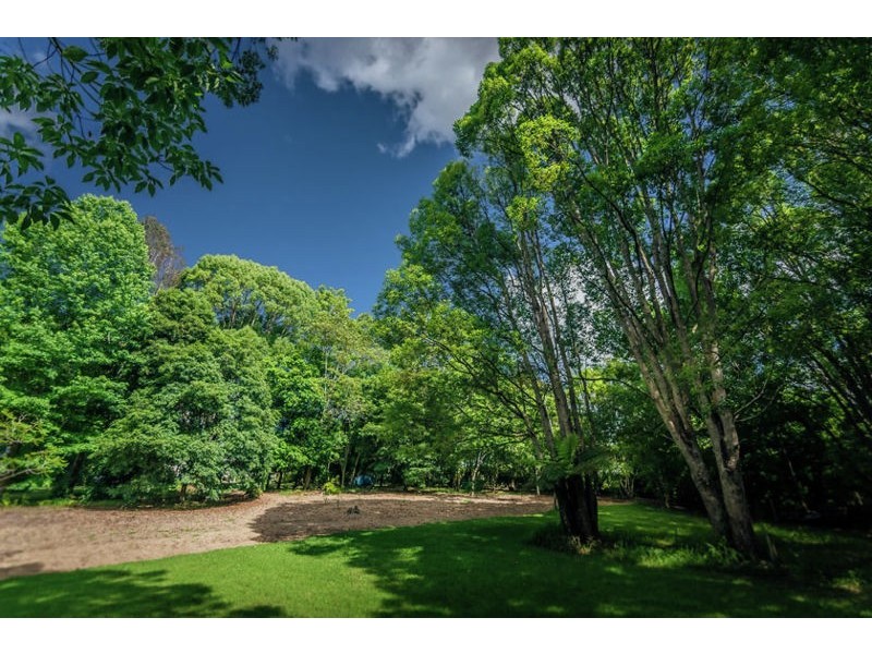 2 Tibouchina Close, Bellingen NSW 2454