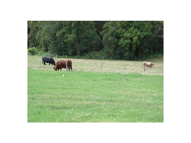 53 ‘Jarrabooka’ Burkes Lane, Valla NSW 2448