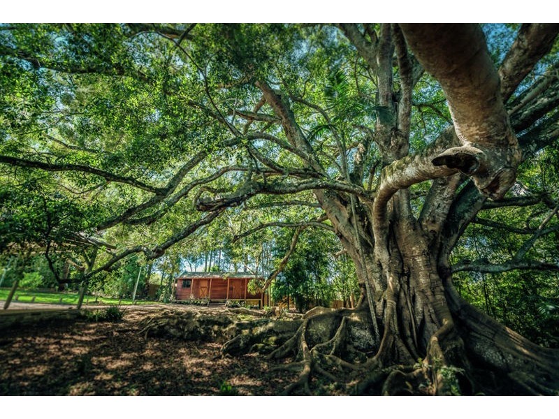 1 Wheatley Street, Bellingen NSW 2454