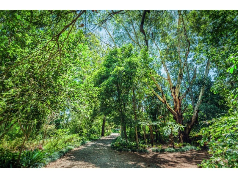 1 Wheatley Street, Bellingen NSW 2454