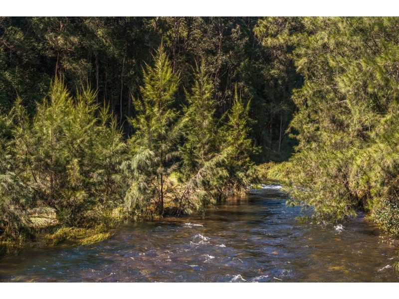 1709 Darkwood Road, Bellingen NSW 2454