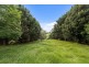 28 Kurrajong Street, Dorrigo NSW 2453