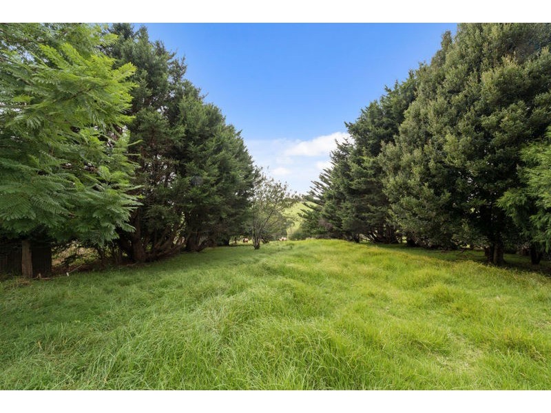 28 Kurrajong Street, Dorrigo NSW 2453