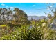 10 Northcote Street, Bellingen NSW 2454