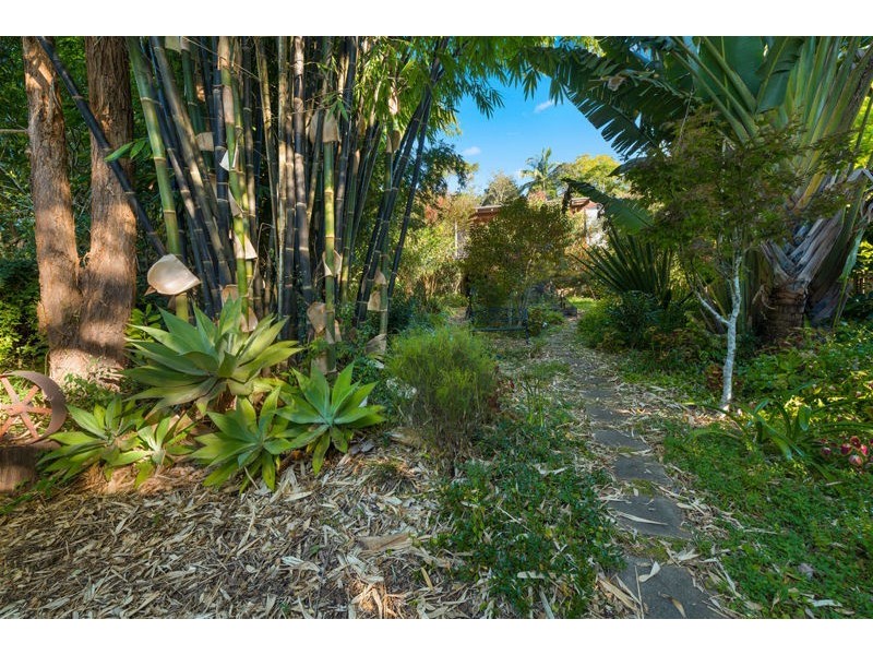 10 Northcote Street, Bellingen NSW 2454