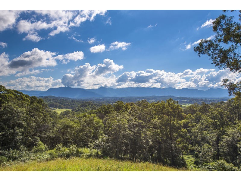 22 Bennett Road, Bellingen NSW 2454