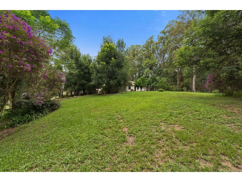300 Roses Road, Bellingen NSW 2454