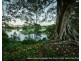 21 Baker Street, Fernmount NSW 2454