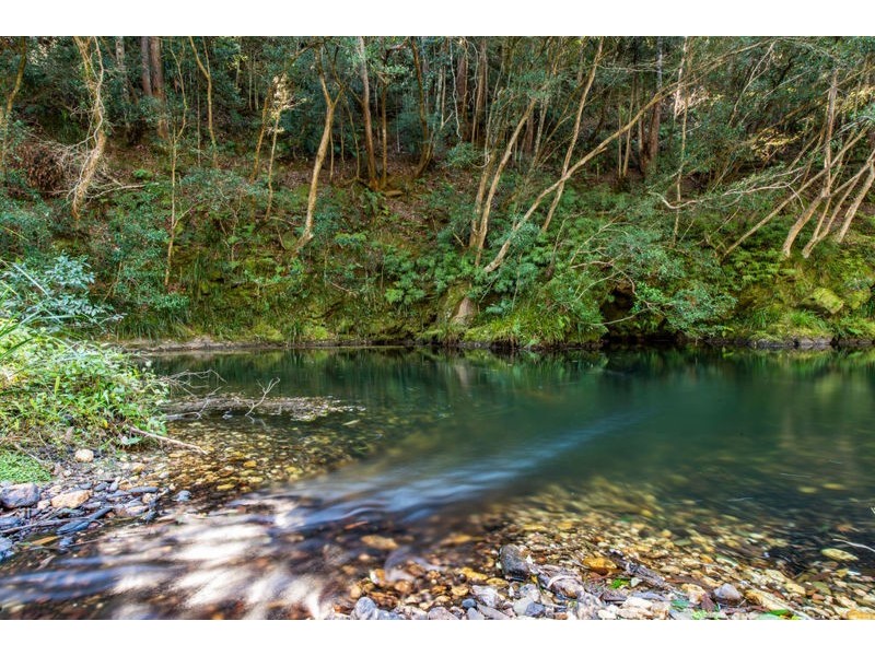 1770 Kalang Road, Bellingen NSW 2454