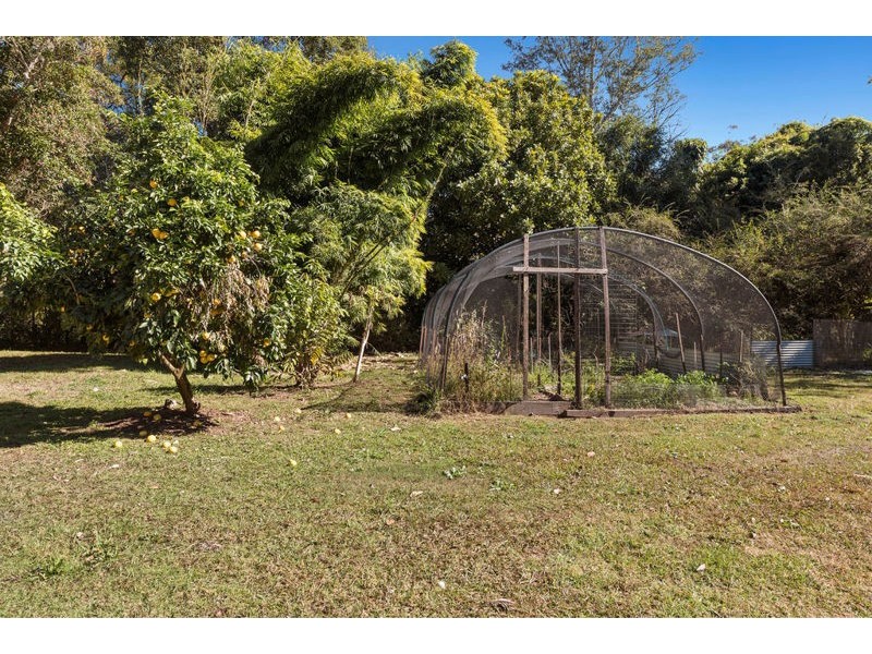 1770 Kalang Road, Bellingen NSW 2454