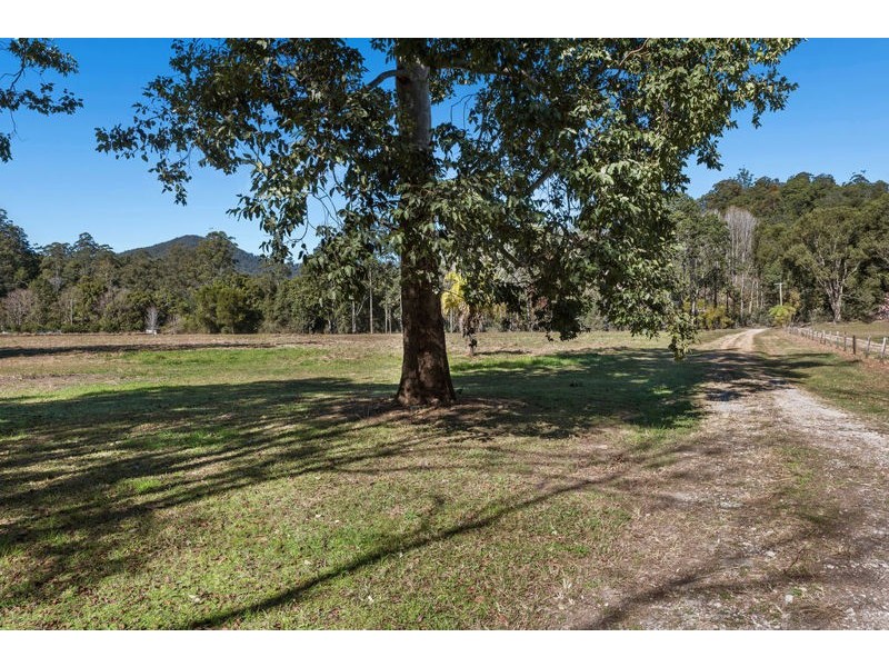 1770 Kalang Road, Bellingen NSW 2454
