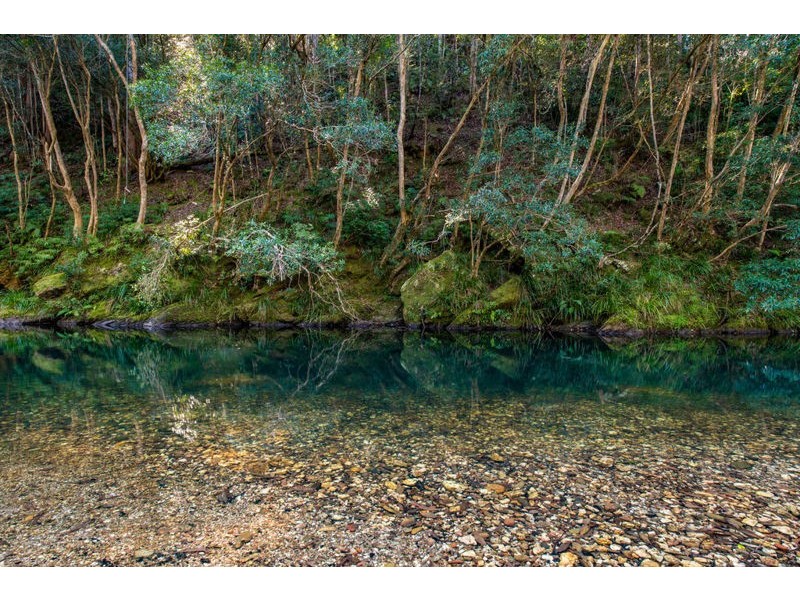 1770 Kalang Road, Bellingen NSW 2454