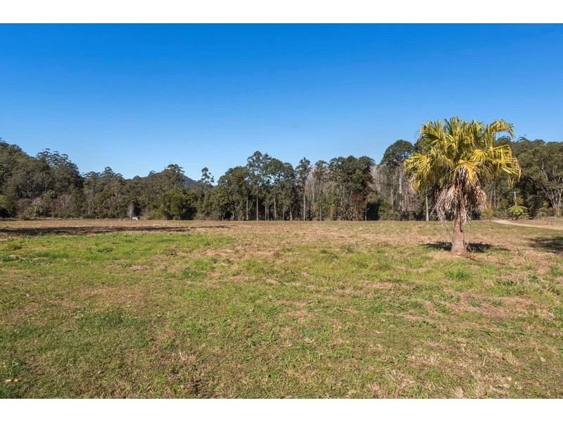 1770 Kalang Road, Bellingen NSW 2454