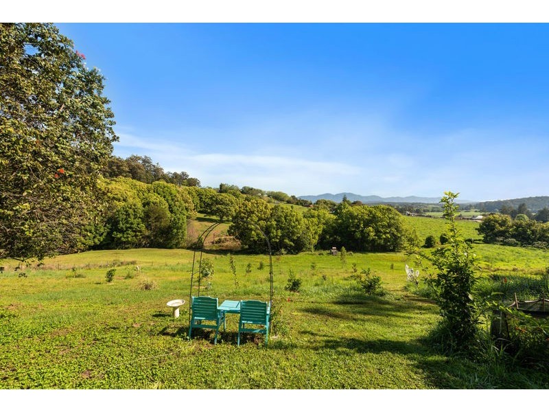 40 Old Brierfield Road, Bellingen NSW 2454
