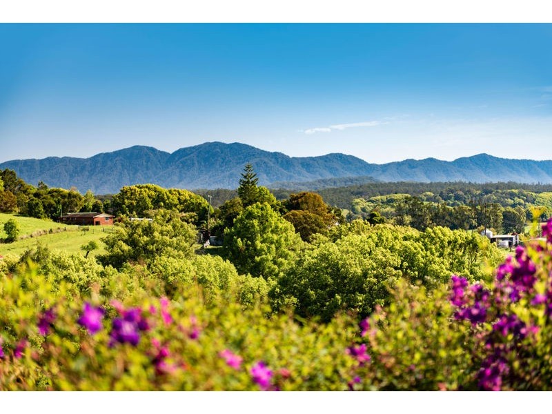 40 Old Brierfield Road, Bellingen NSW 2454