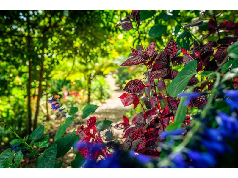 18 Hyde Street, Fernmount NSW 2454