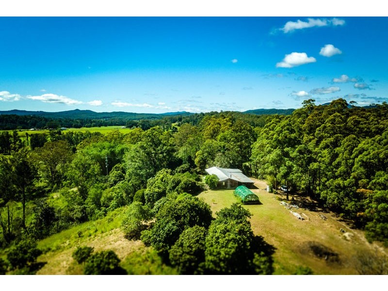 590 Gordonville Road, Bellingen NSW 2454
