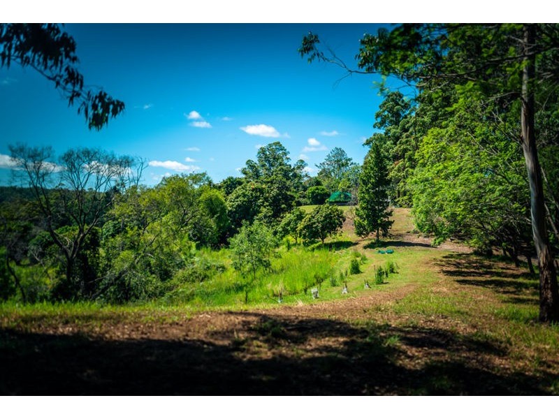 590 Gordonville Road, Bellingen NSW 2454