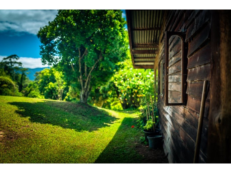 590 Gordonville Road, Bellingen NSW 2454