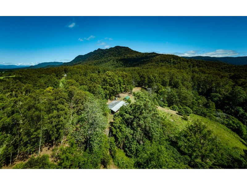 590 Gordonville Road, Bellingen NSW 2454