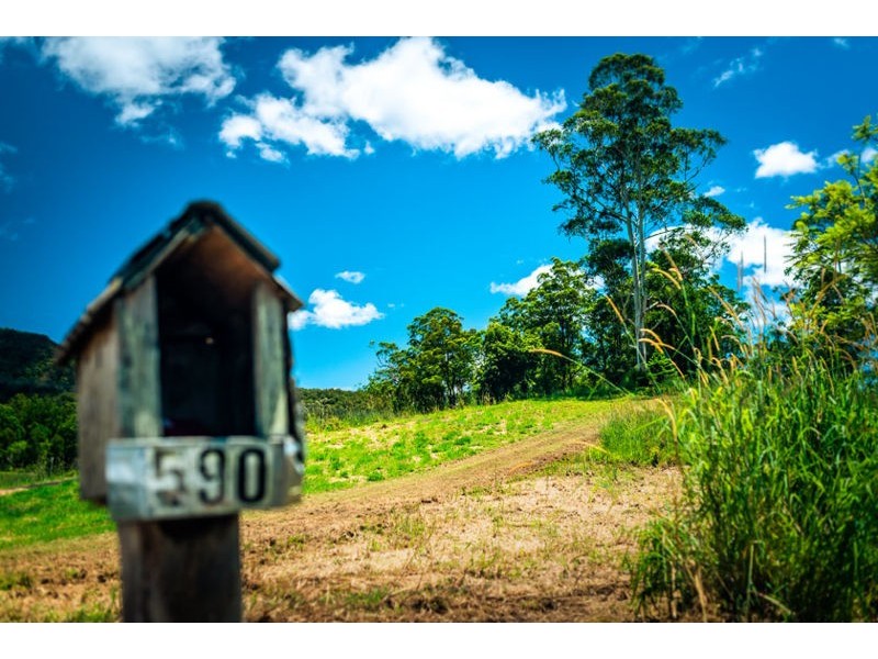 590 Gordonville Road, Bellingen NSW 2454
