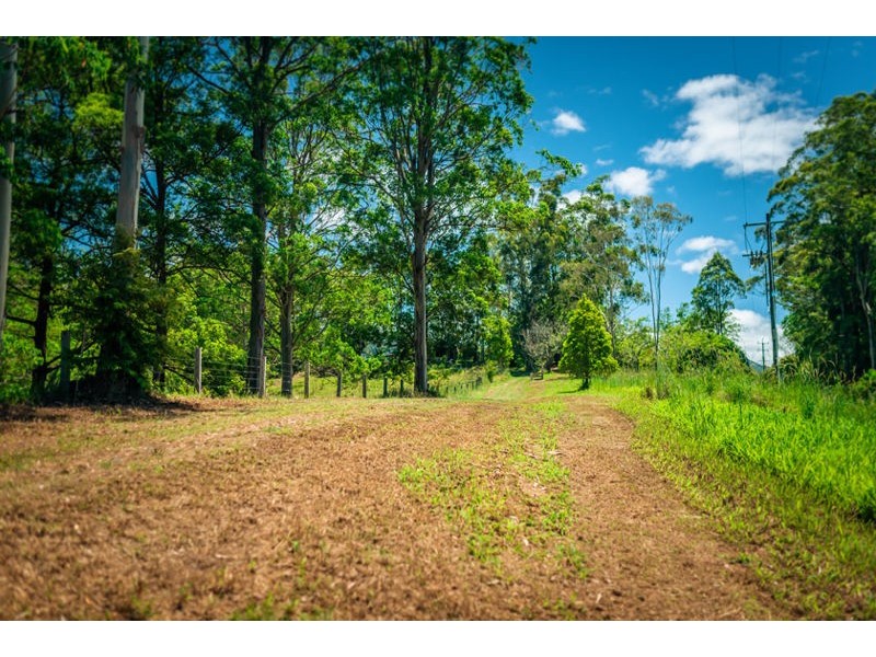 590 Gordonville Road, Bellingen NSW 2454