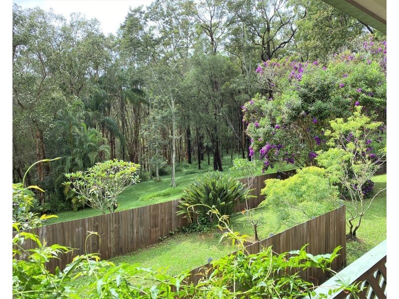 229B Short Cut Road, Raleigh NSW 2454